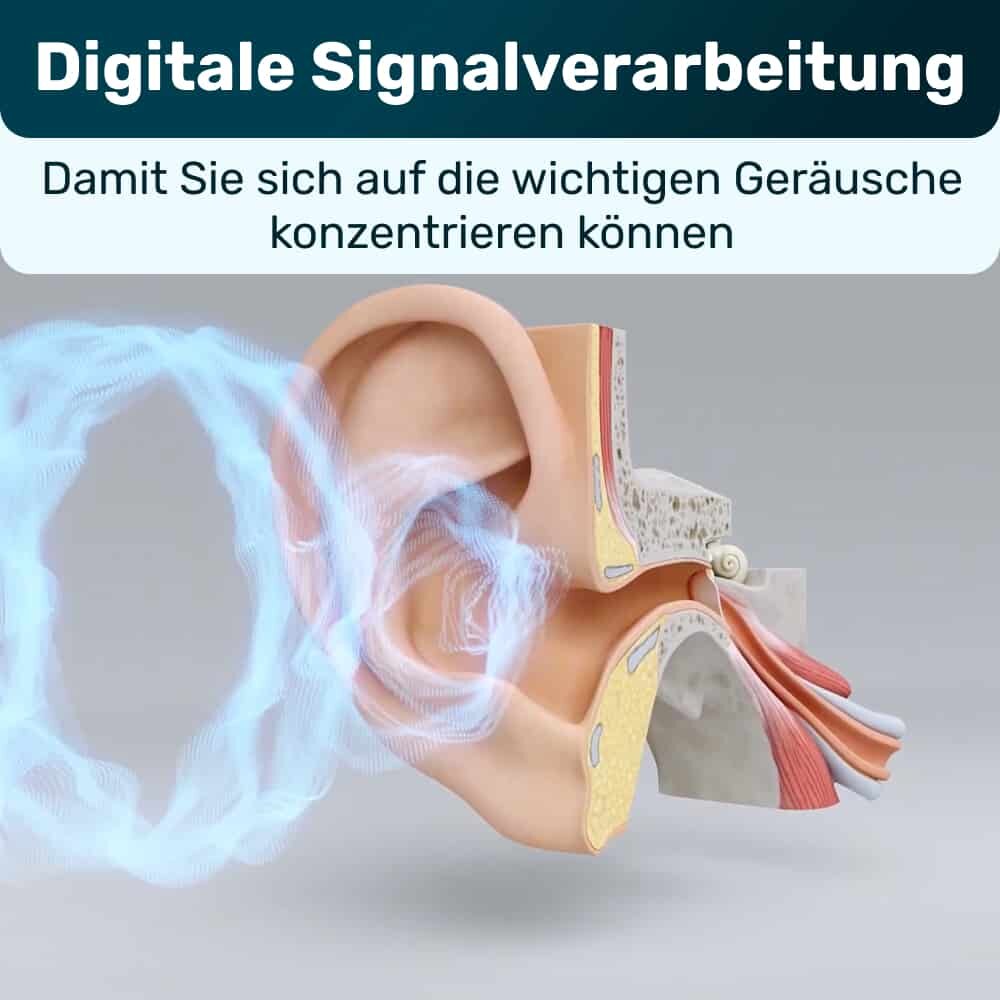OmniHear image